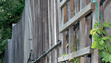 Fencing & Trellis (9)